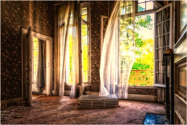 夢到老鷹被別人打死代表著什麼？_周公解夢官網