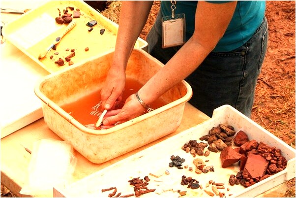 夢到了魚飼料有什麼意思_周公解夢官網