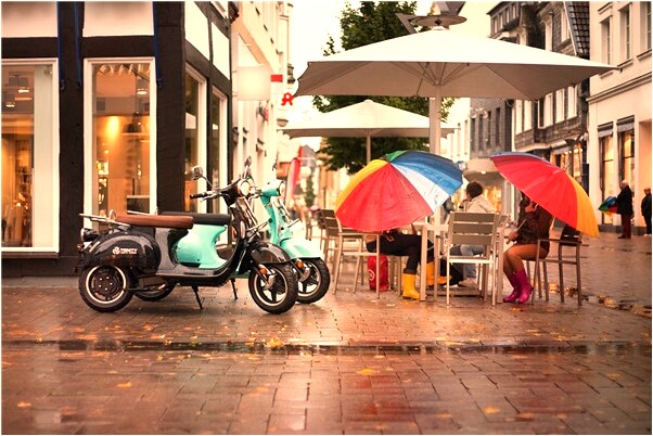 夢見黑狗舔我的左臉的預兆_周公解夢官網