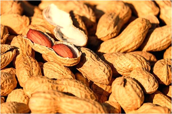 夢到與去世的奶奶咬一口是什麼預兆？_周公解夢官網