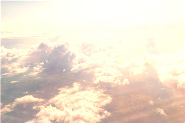 夢見路上有很多屎有什麼預示嗎_周公解夢官網