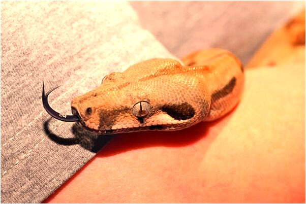 夢到了自己晚上被髒東西拖著走預示了什麼_周公解夢官網