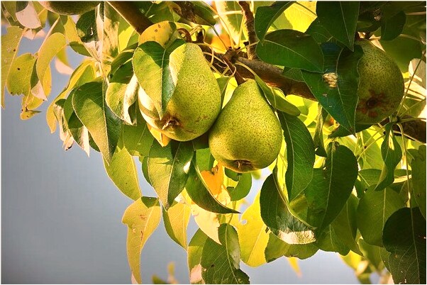 夢到半裸女友被媽發現給衣穿代表著什麼？_周公解夢官網