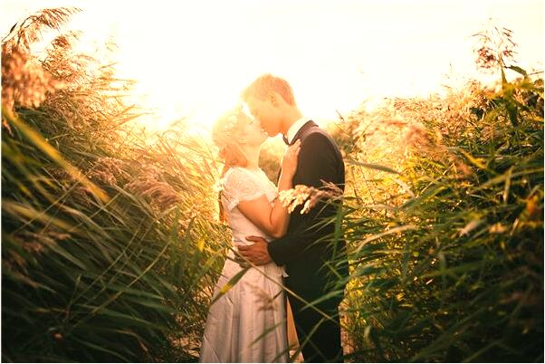 夢到需移栽萬年青樹代表著什麼？_周公解夢官網