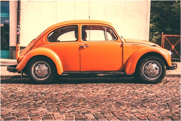 夢到了大樹開滿粉色的花是什麼徵兆_周公解夢官網