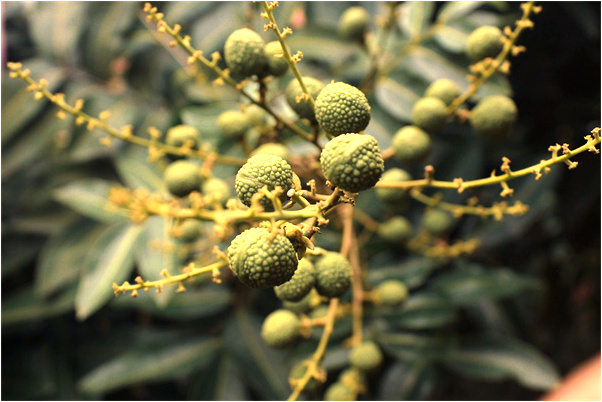 夢見和不認識的異性親密有什麼意思嗎_周公解夢官網