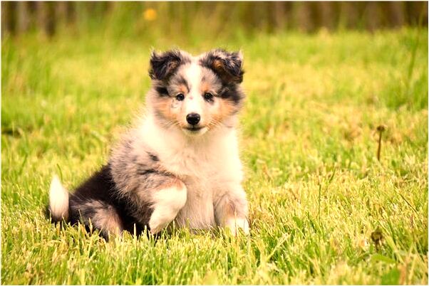 夢見前男友的結婚照片是吉兆嗎?_周公解夢官網