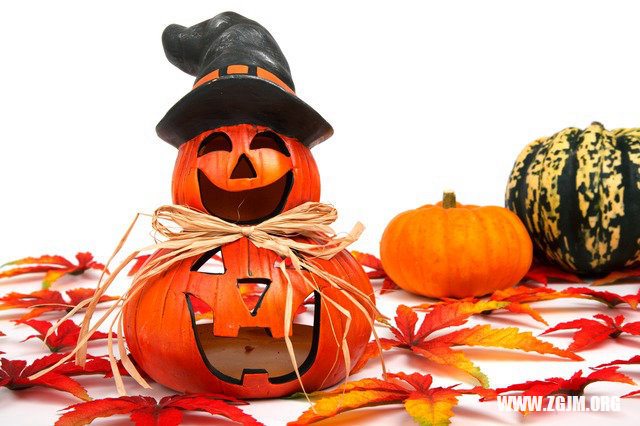 夢見螞蝗咬自己的腳_周公解夢夢到螞蝗咬自己的腳是什麼意思_做夢夢見螞蝗咬自己的腳好不好_周公解夢官網