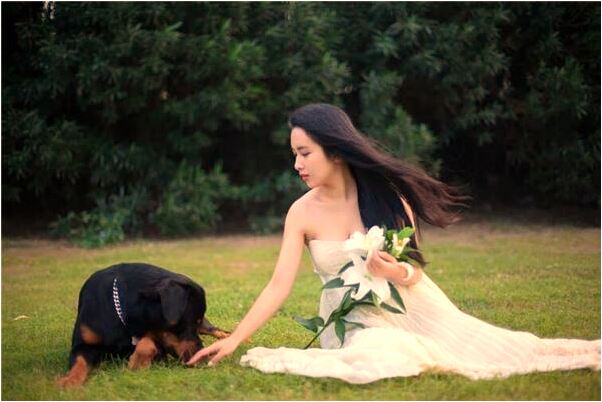 夢到大堆熟豬肉預示什麼_周公解夢官網