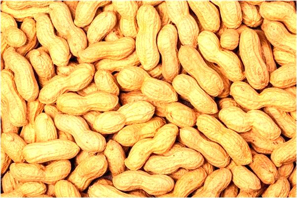 夢見接吻的感覺很真實啥意思_周公解夢官網