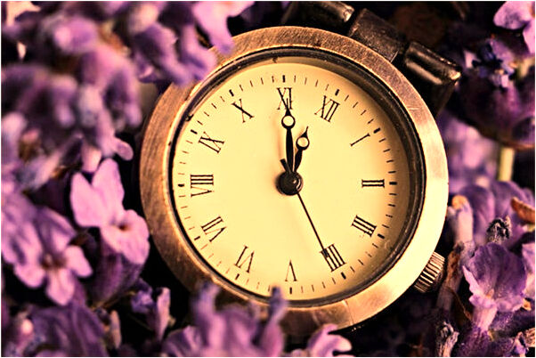 夢到了別人不給小白兔是什麼意思？_周公解夢官網