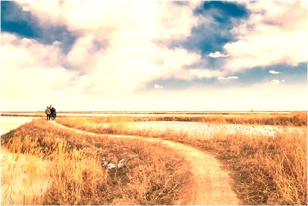 夢見自己牙齒掉了一粒代表著什麼_周公解夢官網