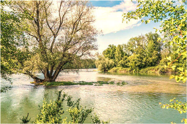 夢到了祭壇死人是啥預兆_周公解夢官網