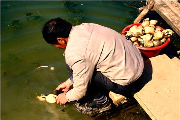 夢到了水裡撈木頭是啥意思_周公解夢官網