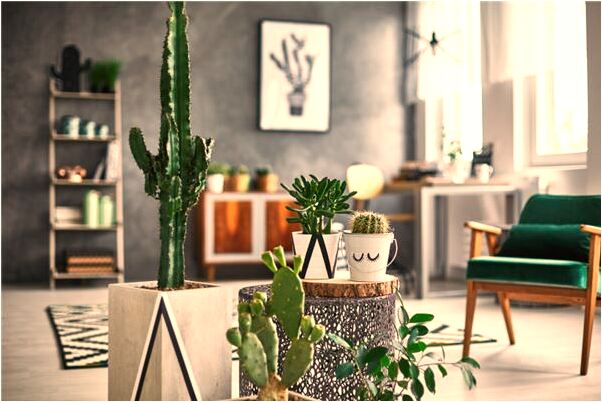 夢到兩條蛇在手臂上有什麼意思嗎_周公解夢官網