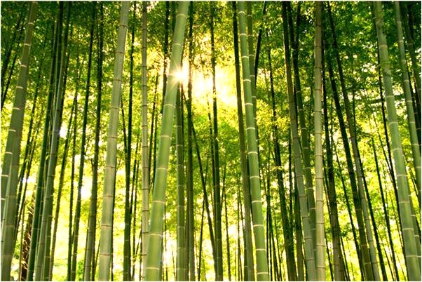 夢見發卡壞了一部是什麼意思？_周公解夢官網