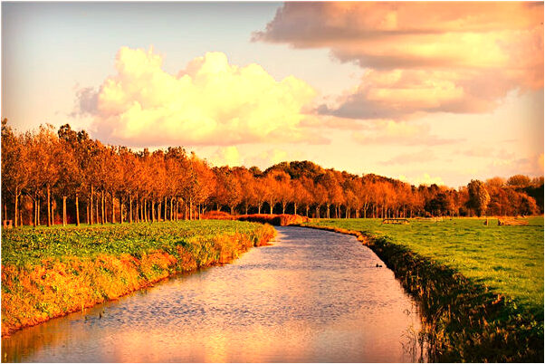 夢見被女性朋友好不好_周公解夢官網