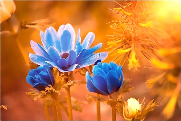 夢見室內槍戰有什麼預示嗎_周公解夢官網