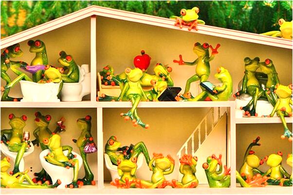 夢到袖口掏不盡的小貓是什麼啟示_周公解夢官網