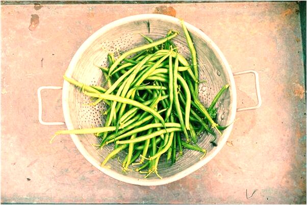 夢到拉大便在褲襠里意味著什麼_周公解夢官網