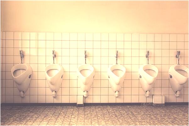 夢到了狼吃骨頭意味著什麼_周公解夢官網