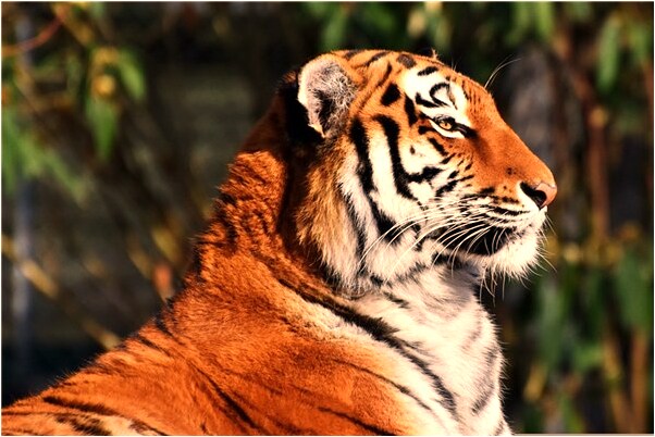 夢到一直在一直在夢裡代表什麼_周公解夢官網