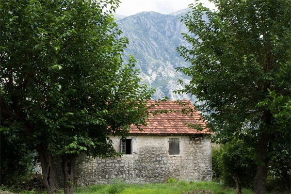 夢見房子漏水_周公解夢