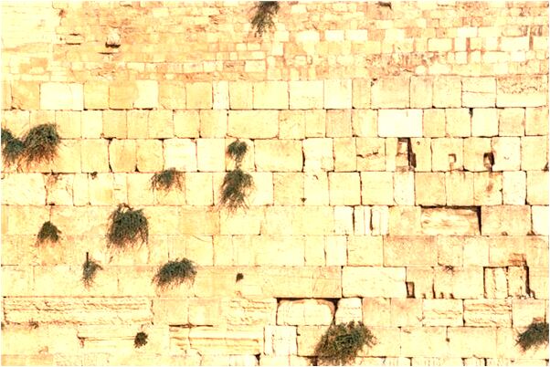 夢到了把別人頭打扁有什麼說法_周公解夢官網