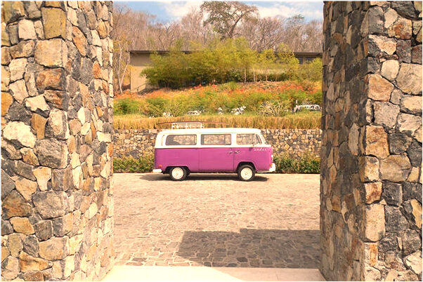 夢見乞討到鞋子穿預示什麼_周公解夢官網