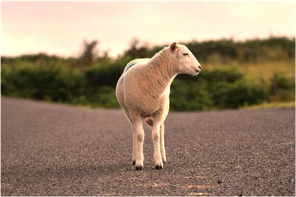 夢到了男友出獄了是什麼意思_周公解夢官網