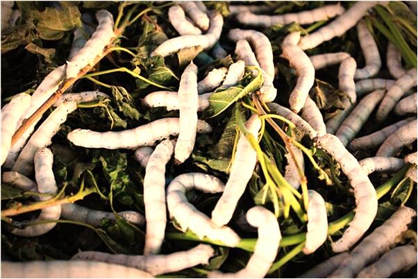 夢見小孩在跑意味什麼_周公解夢官網