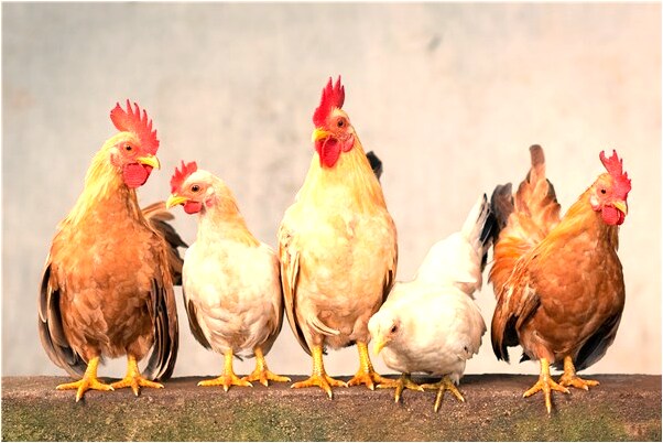 夢到了求人辦事人家答應了有什麼含義_周公解夢官網