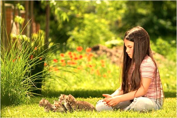 夢見開門屋地擺滿玉米棒孑是好的徵兆嗎_周公解夢官網