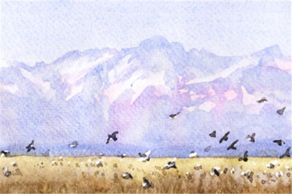 夢見很多鳥聚在一起_周公解夢