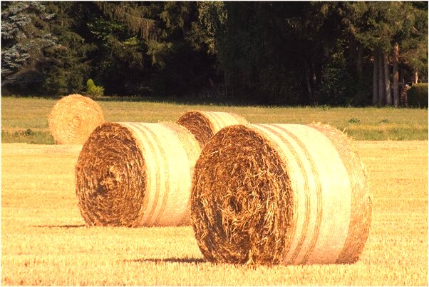 夢到前男友變了代表什麼_周公解夢官網