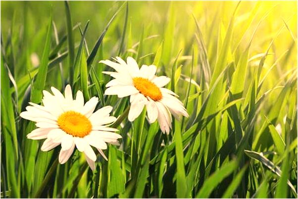 夢到了水深不見底淹死朋友意味什麼_周公解夢官網