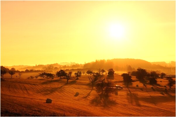 夢到上廁所來大姨媽好不好_周公解夢官網