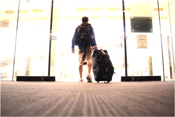 夢到了蔥沒有根是什麼意思_周公解夢官網