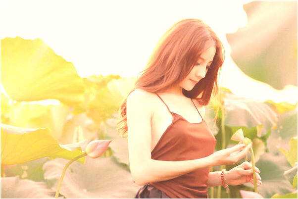 夢見烏龜在池裡活蹦亂跳代表著什麼？_周公解夢官網