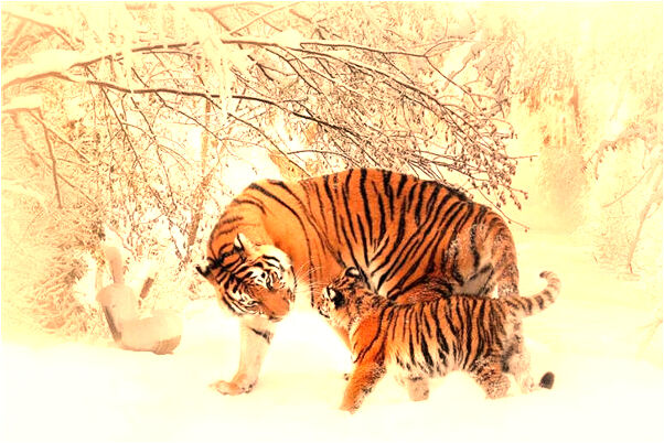 夢到了尿撒自己是好的徵兆嗎_周公解夢官網