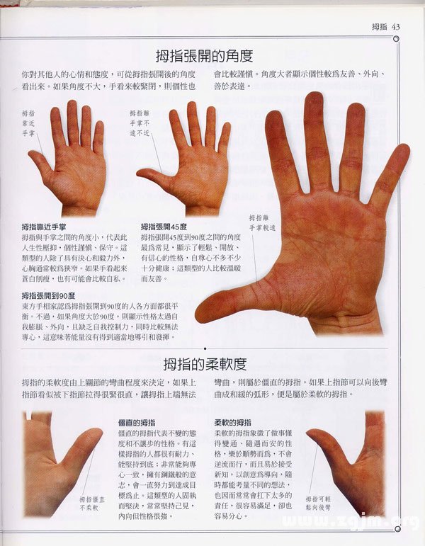 The "palm learning" : the thumb