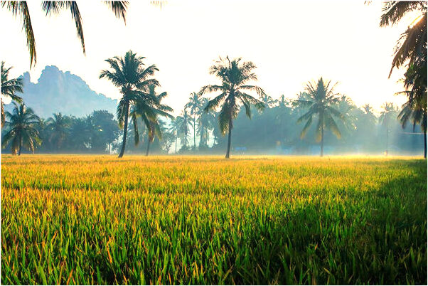 夢到了收到好多喜歡得禮物是什麼兆頭_周公解夢官網