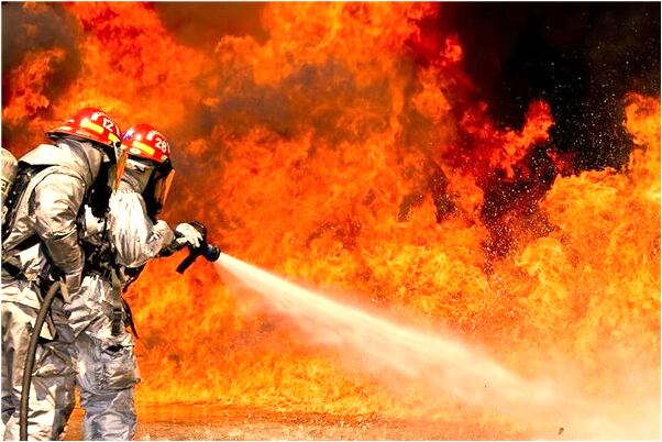 夢到有條大白狗總是跟著我有什麼徵兆_周公解夢官網