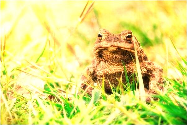 夢到了門口有屍體意味著什麼_周公解夢官網