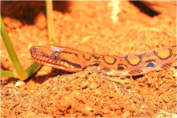 夢到自己裸體去醫院是咋回事_周公解夢官網