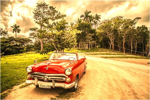 夢到樹上有很多洋辣子是凶兆還是吉兆_周公解夢官網