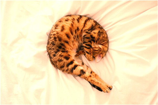 夢見在腿上吊點滴意味著什麼_周公解夢官網