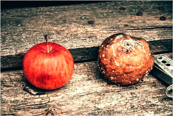 夢到嫖娼被人敲詐勒索代表著什麼？_周公解夢官網