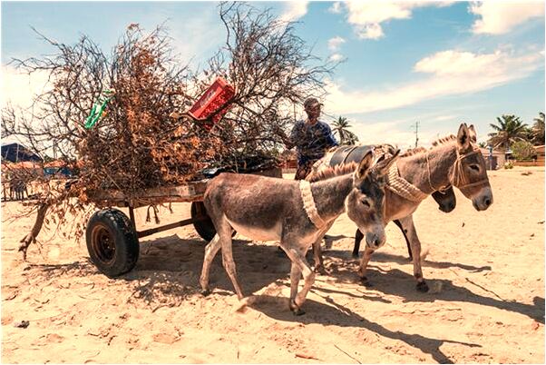 夢到了找褲子穿有何寓意_周公解夢官網