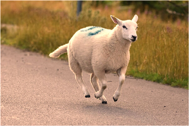 夢見好多人在我家有什麼寓意嗎？_周公解夢官網